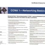 05_CCNA 1